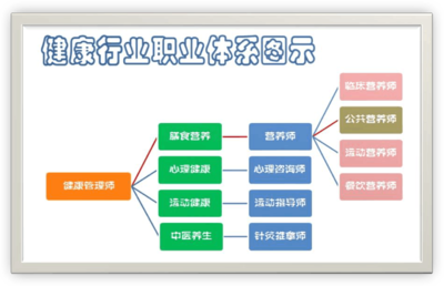 健康管理師與營(yíng)養(yǎng)師的核心區(qū)別及營(yíng)養(yǎng)健康管理指南