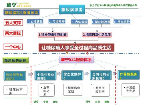 康寧獨(dú)創(chuàng)521糖尿病健康管理理論體系 填補(bǔ)院外管理空白的營(yíng)養(yǎng)健康新范式